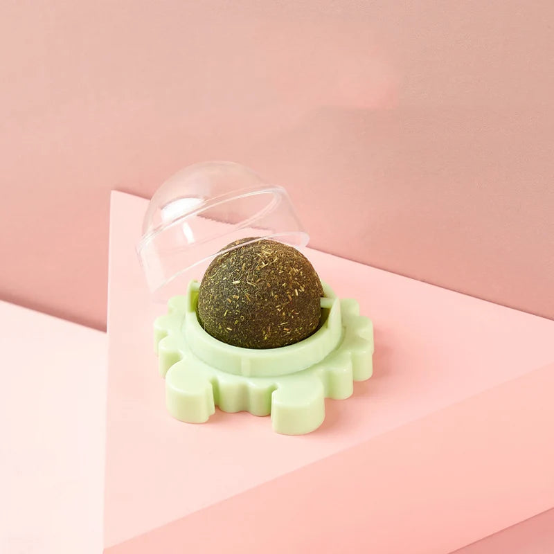 Catnip Energy Ball Toy