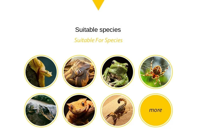 Reptile Water & Feeding Trough