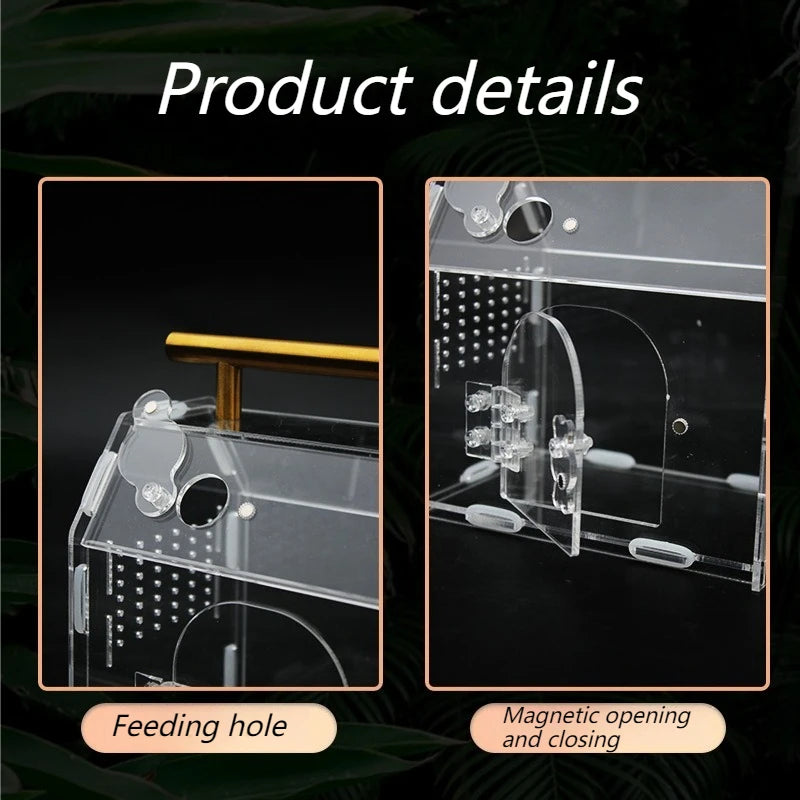 Acrylic Portable Reptile Cage