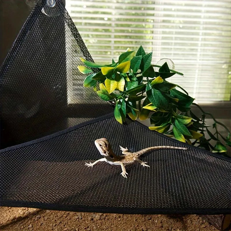 Reptile Hammock & Lounger