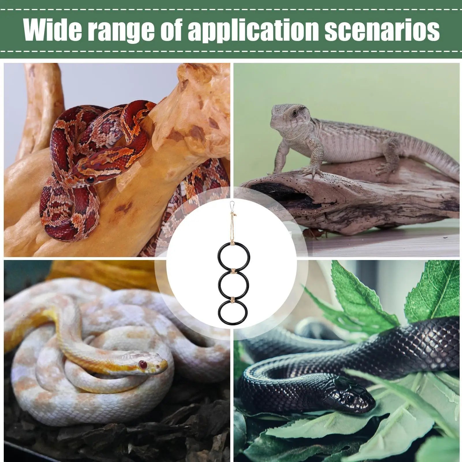 Snake Climbing Toy & Rings