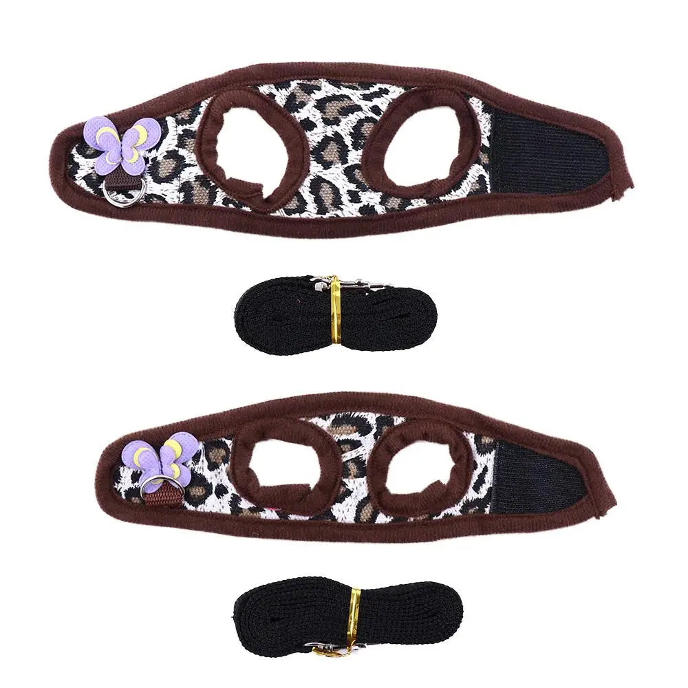 Small Pet Vest Harness & Leash