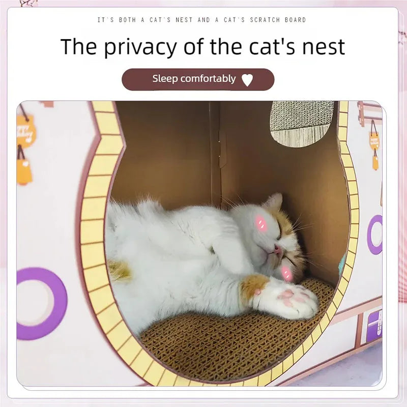 Cat Scratch Sofa & Toy Box