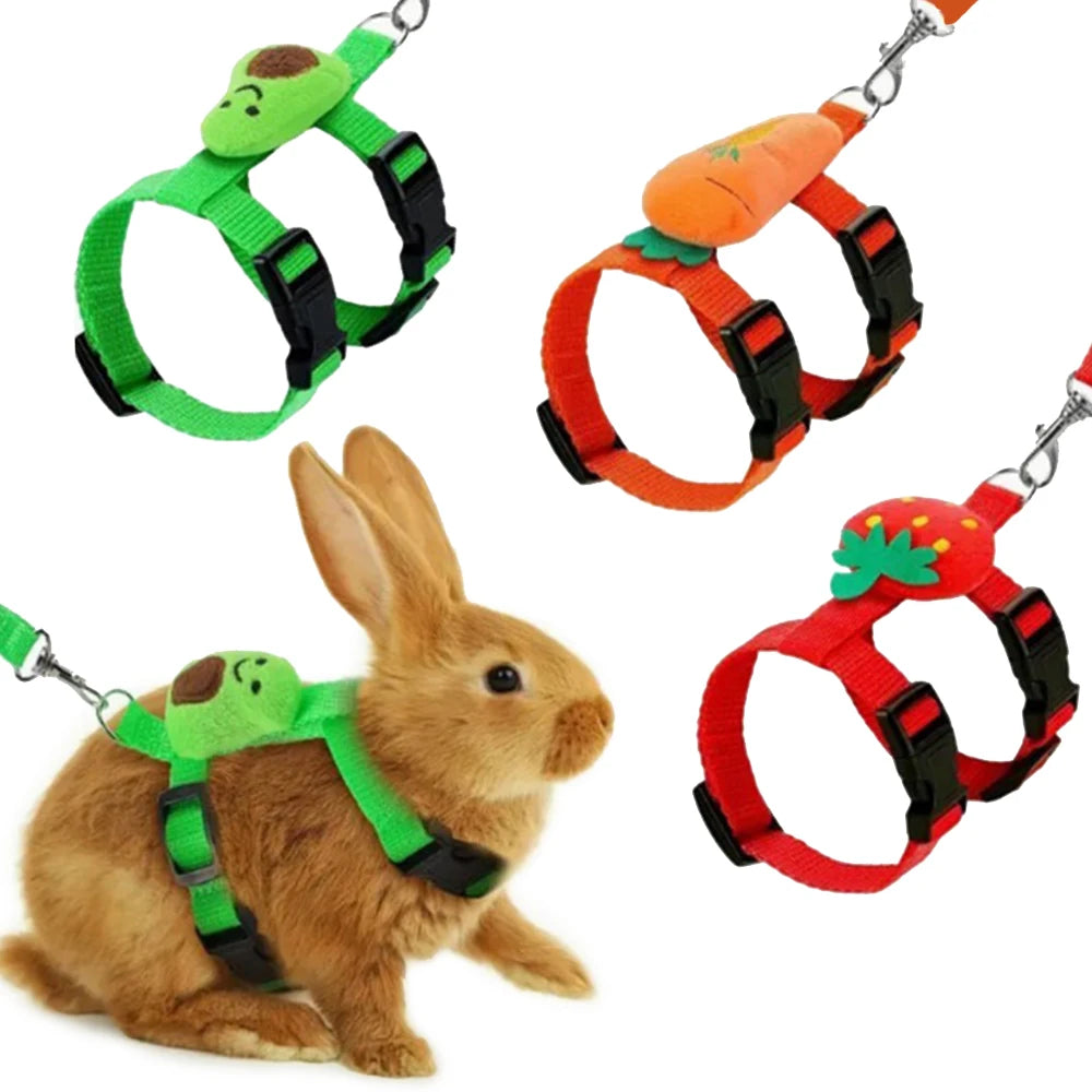 Small Animal Harness & Leash