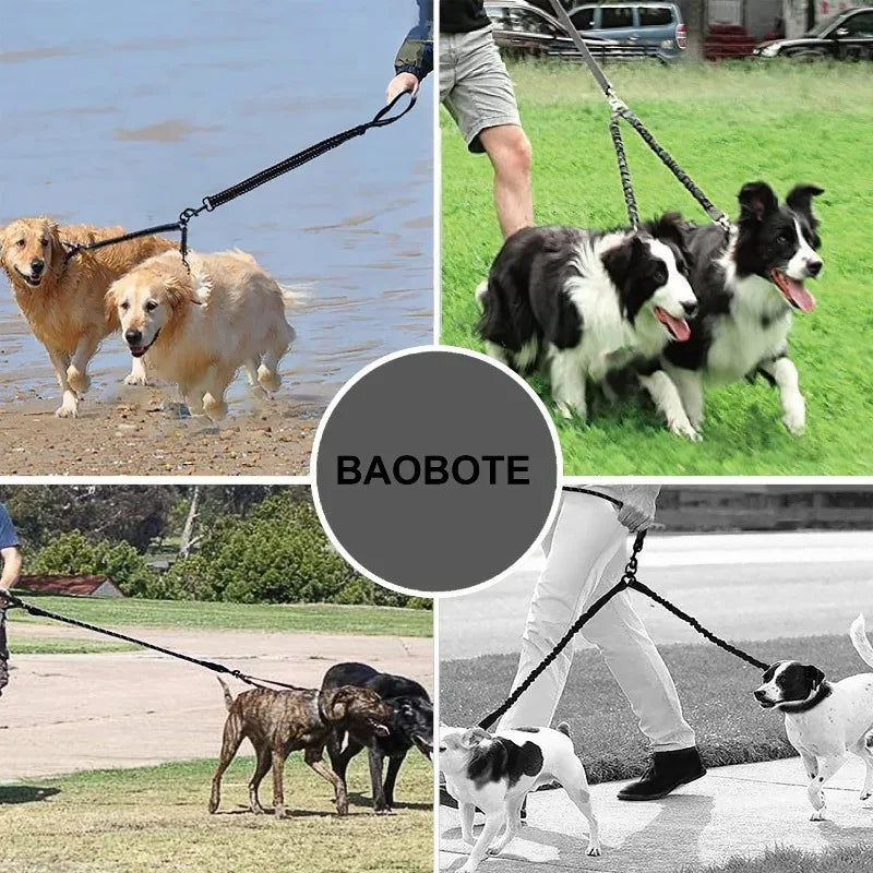 Shock-Absorbing Dog Leash