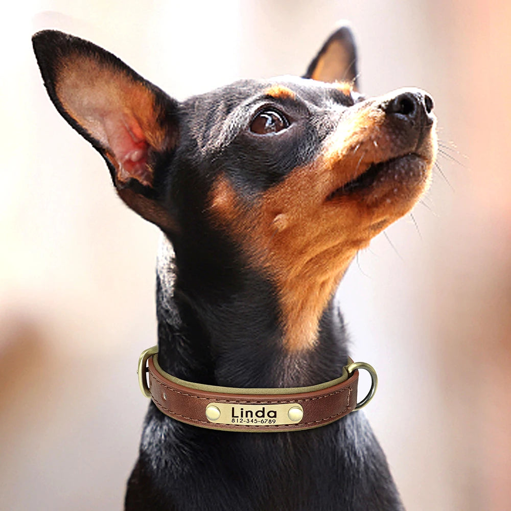 Custom Engraved PU Leather Dog Collar