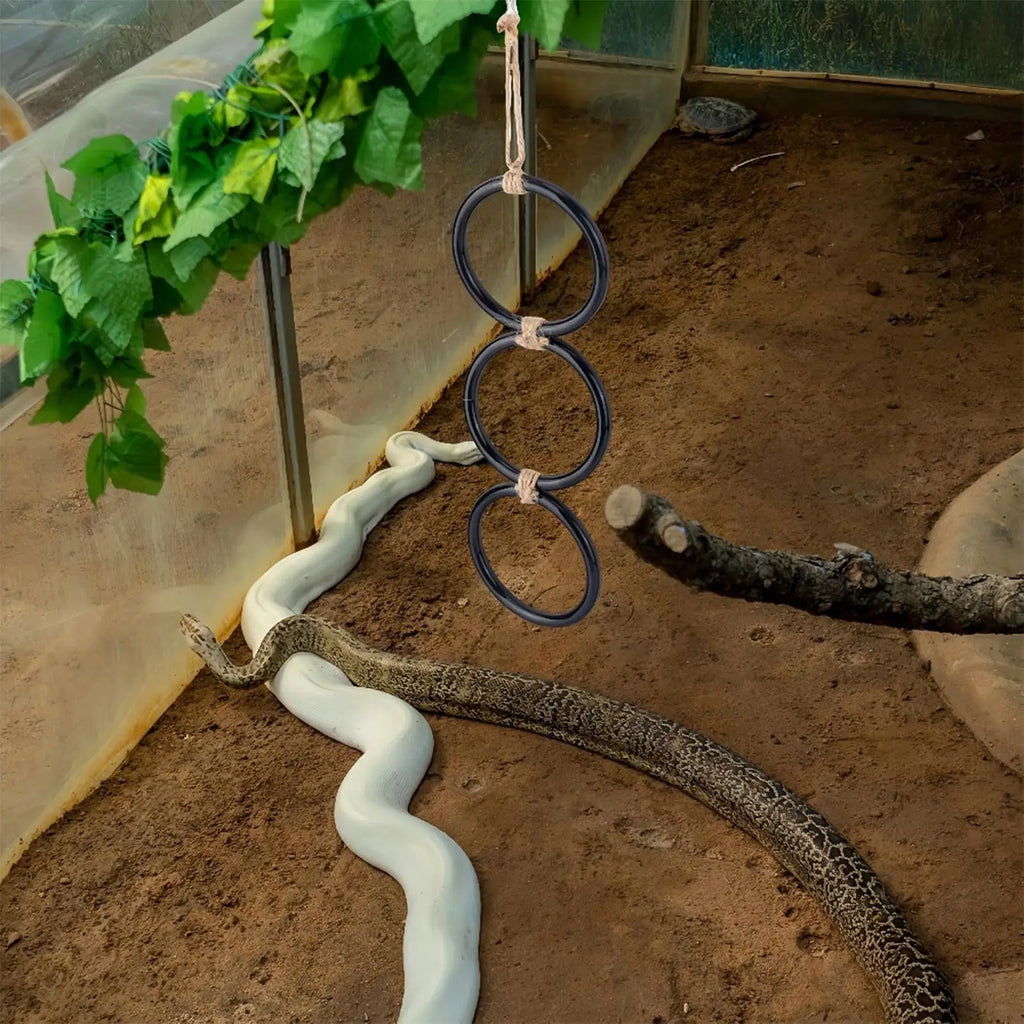 Snake Climbing Toy & Rings
