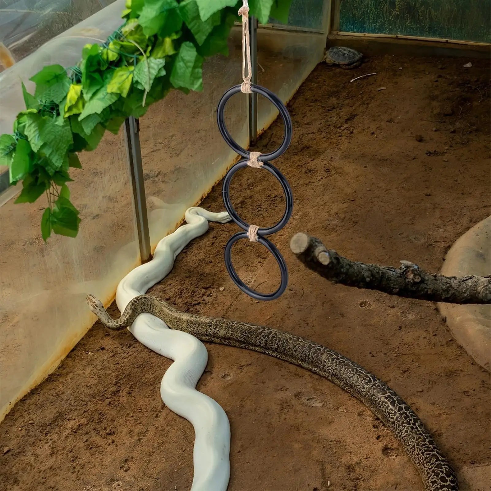 Snake Climbing Toy & Rings