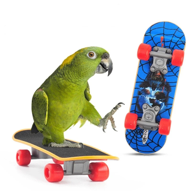 Parrot Skateboard Training Toy