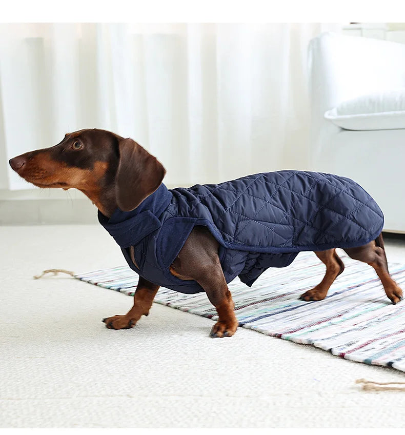 Quilted Dachshund Dog Coat
