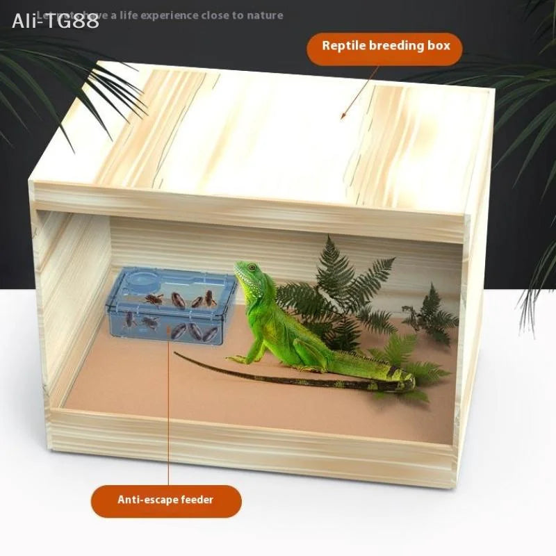 Anti-Escape Reptile Feeder Bowl