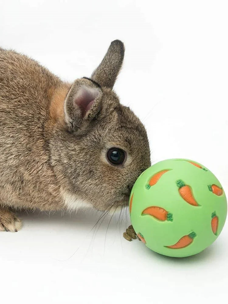 Interactive Treat Ball
