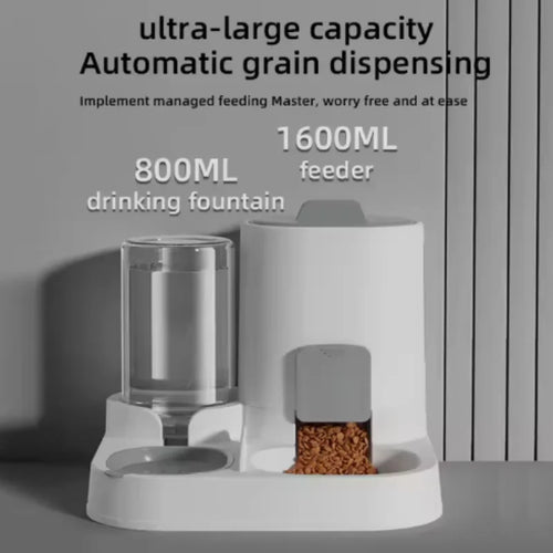 2-in-1 Pet Food & Water Dispenser