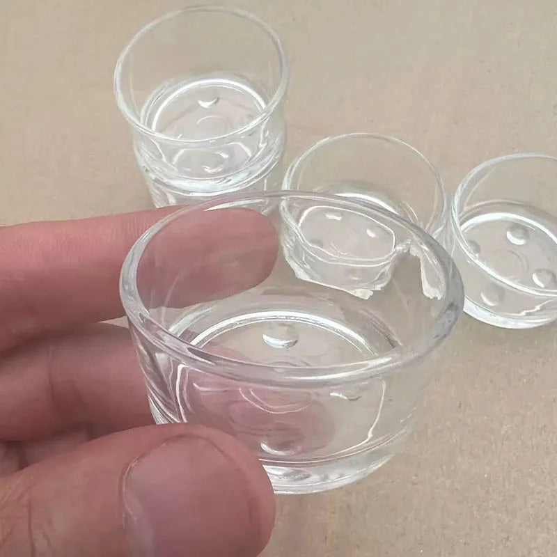 Glass Reptile Food & Water Bowl