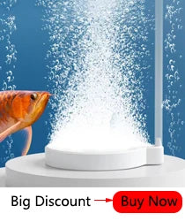 Resin Reptile Feeder Bowl
