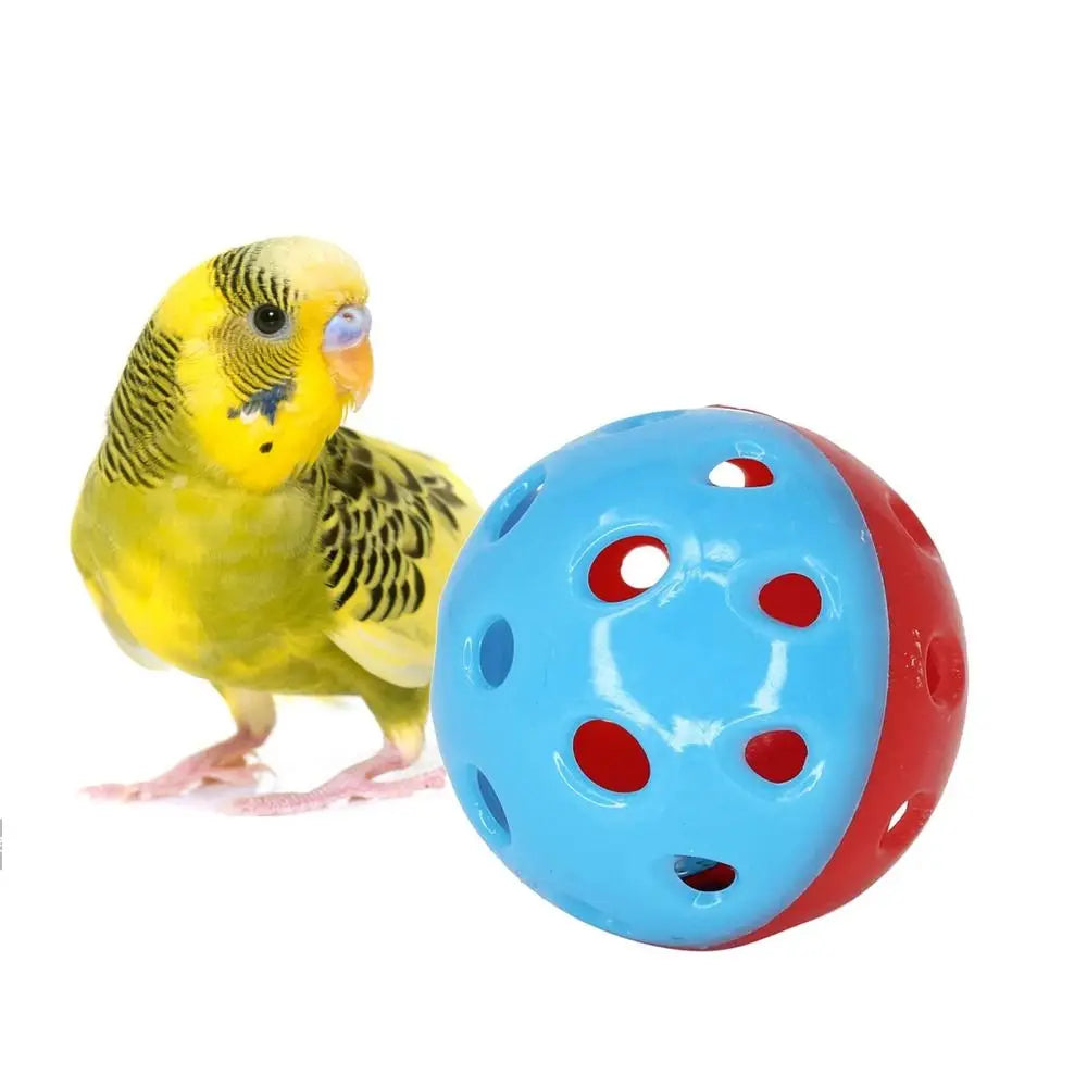 Bell Ball Bird Chew Toy