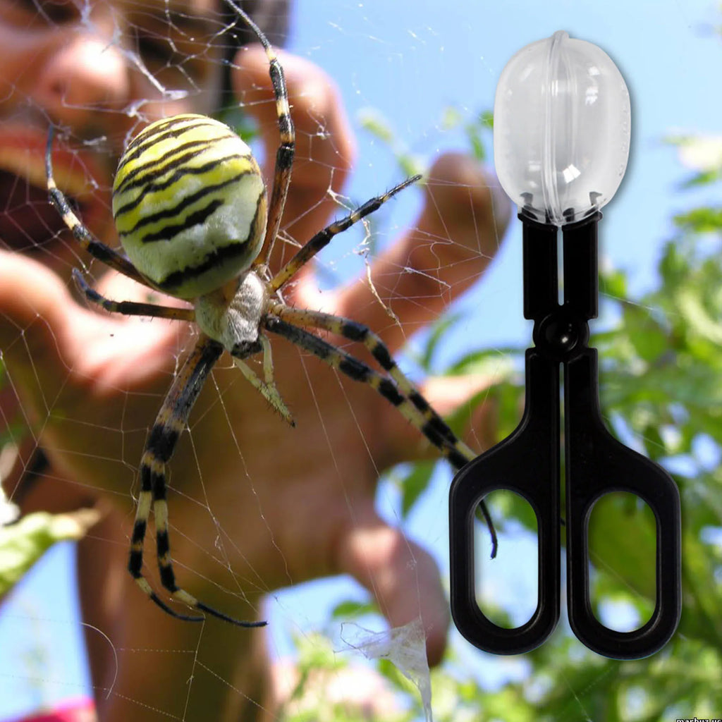 Reptile Feeding Tongs
