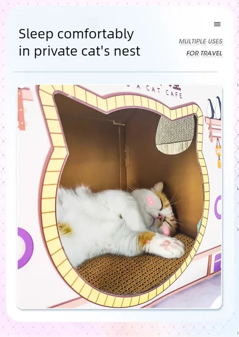 Cat Scratch Sofa & Toy Box