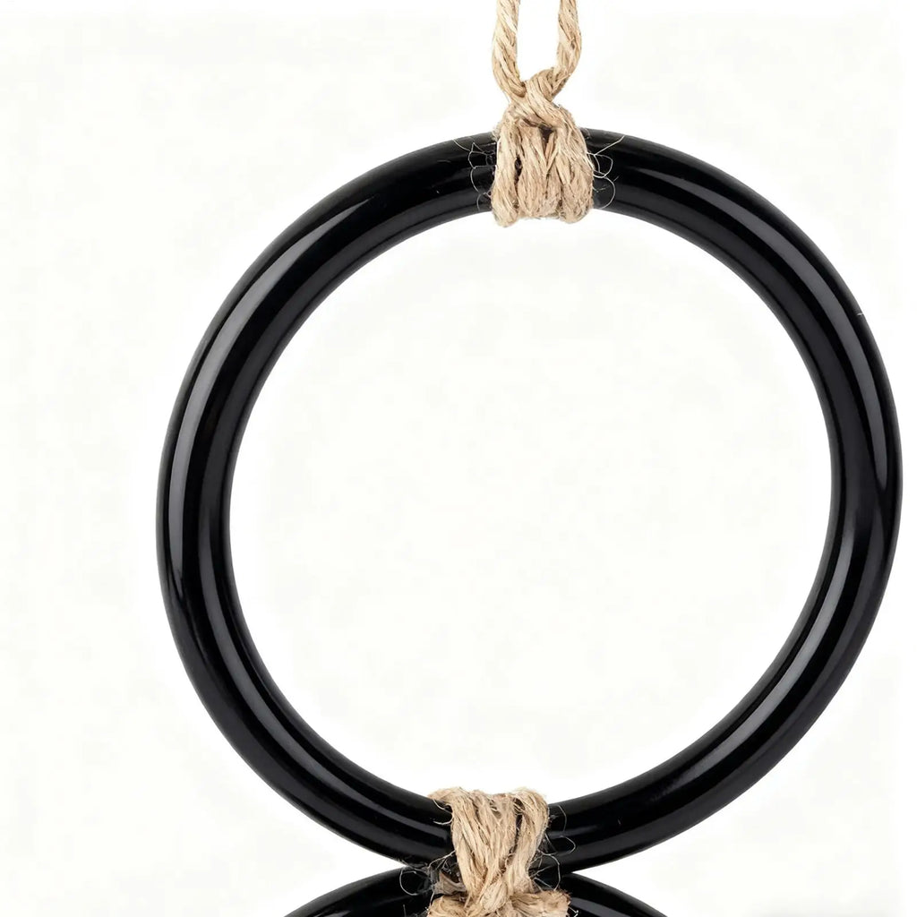 Snake Climbing Toy & Rings