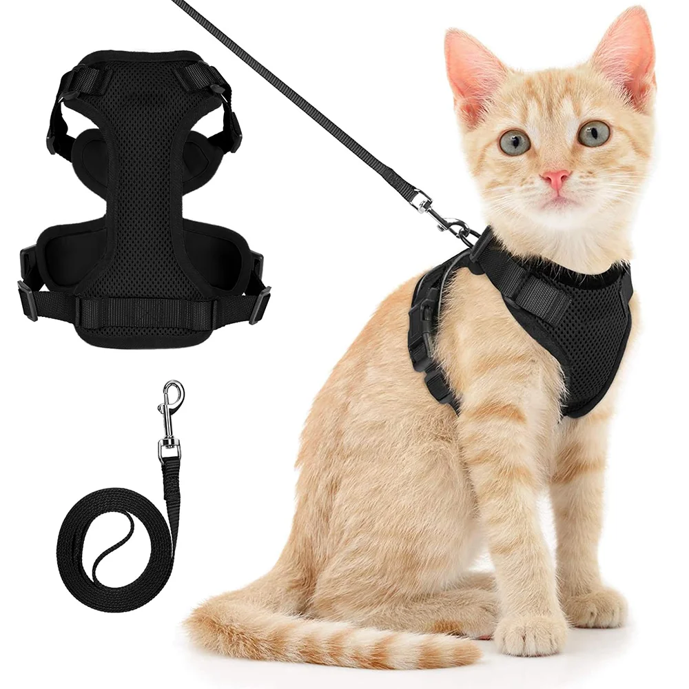 Breathable Cat & Dog Harness Set