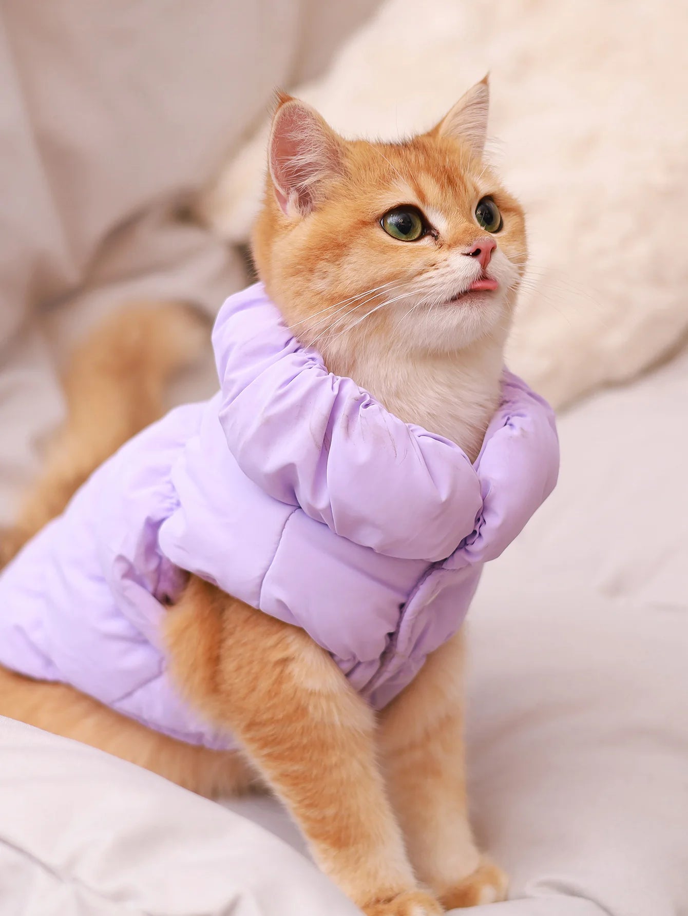 3-Layer Warm Dog Jacket