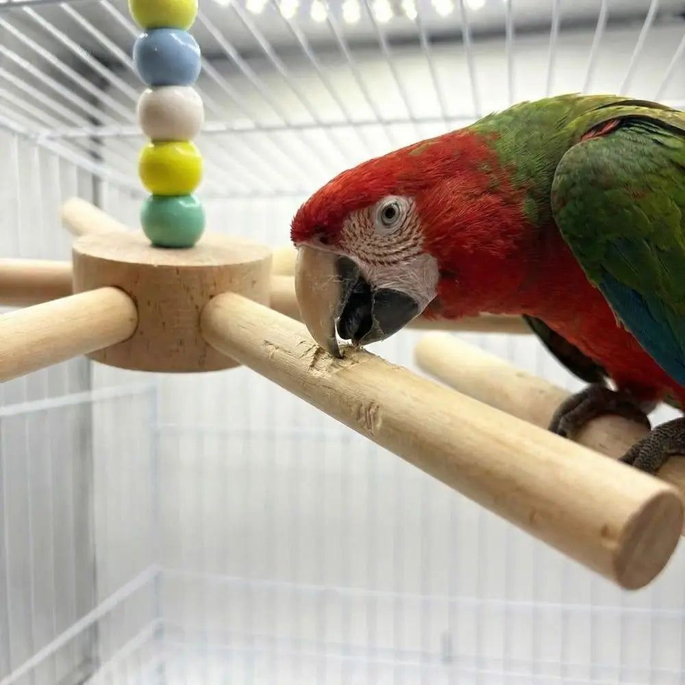 Colourful Bead Bird Perch Stand
