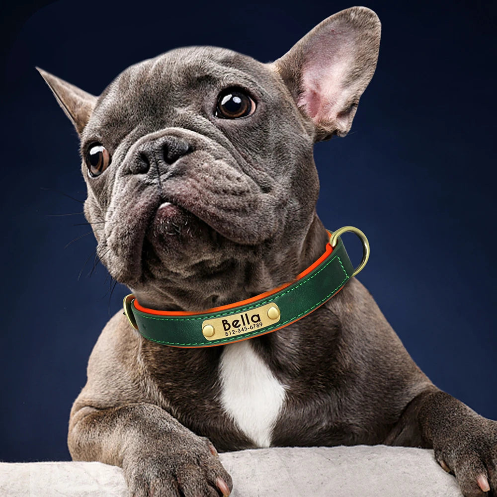 Custom Engraved PU Leather Dog Collar