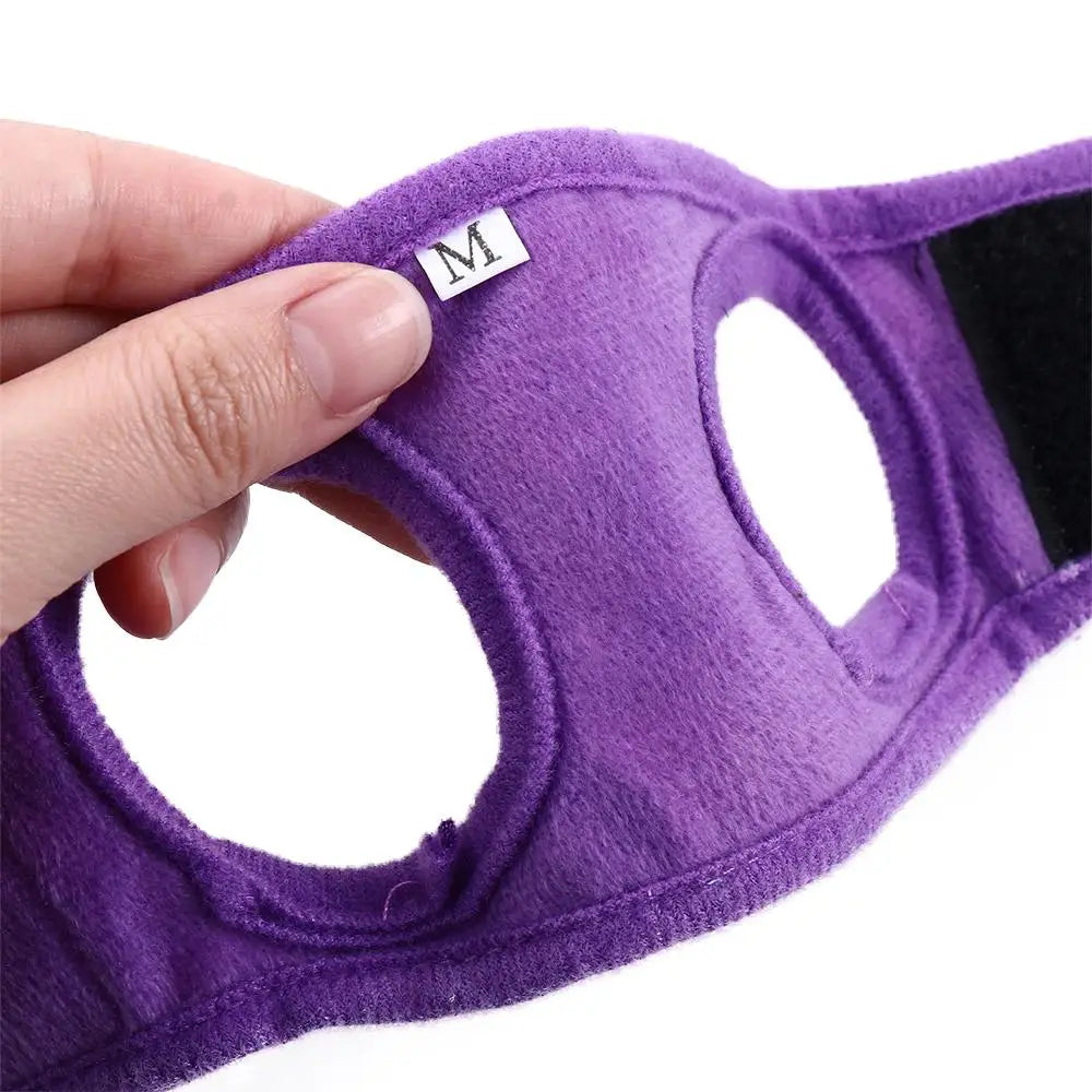 Small Pet Vest Harness & Leash