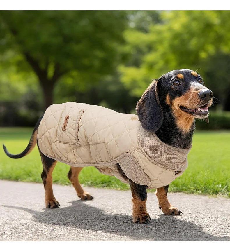 Quilted Dachshund Dog Coat