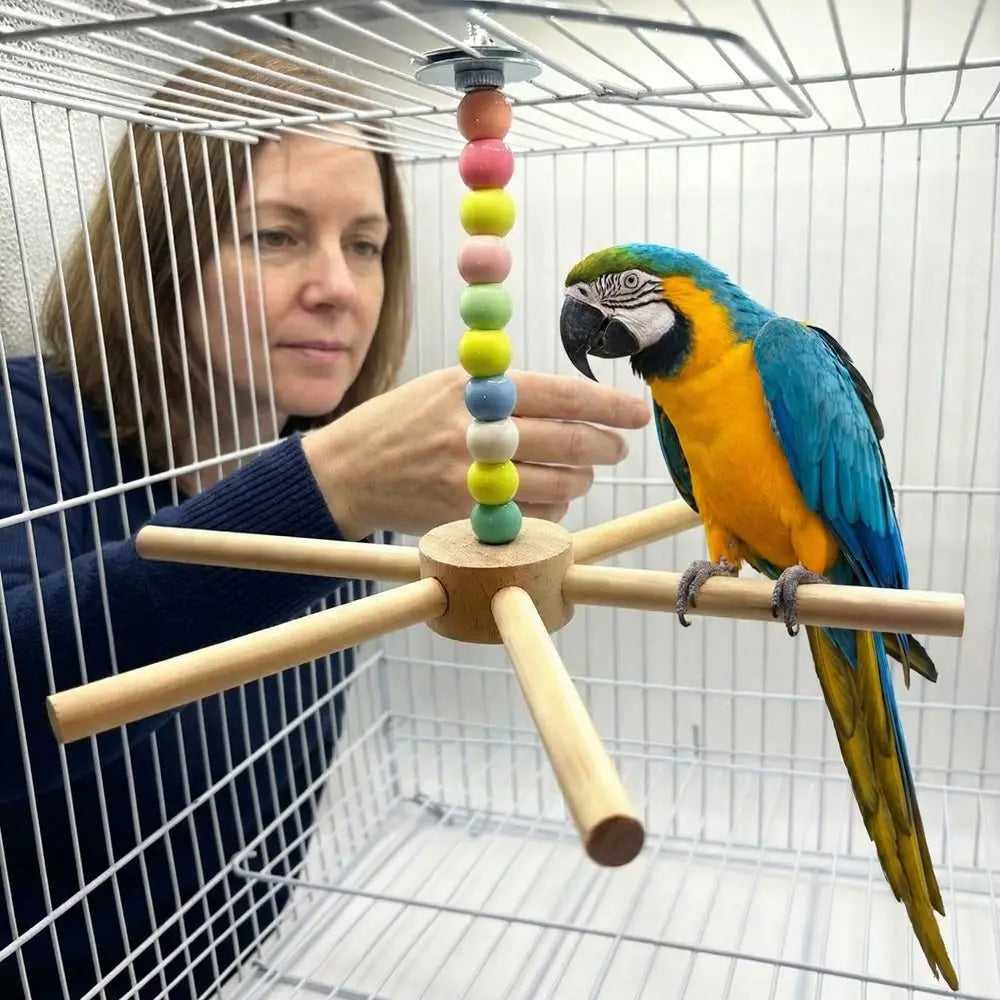 Colourful Bead Bird Perch Stand