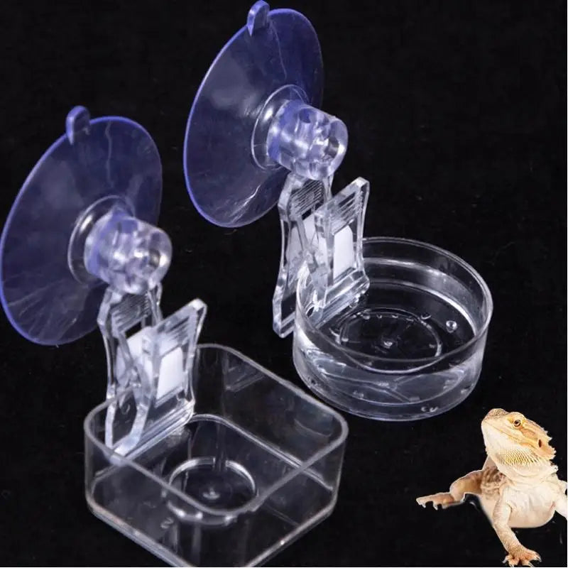 Suction Cup Reptile Food Tray