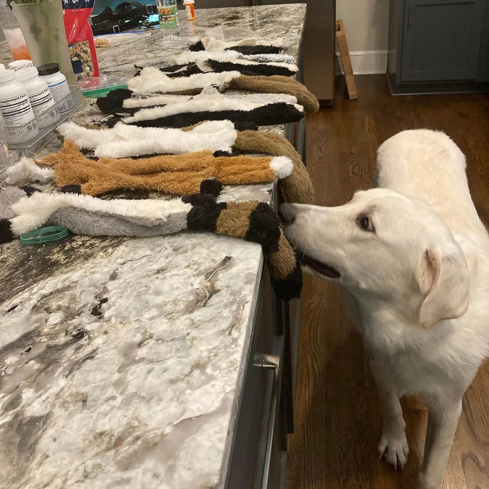 Simulated Animal Dog Toy