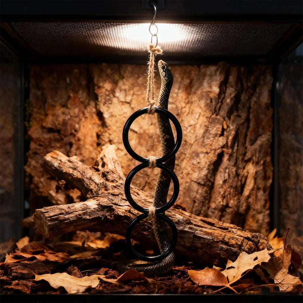 Snake Climbing Toy & Rings