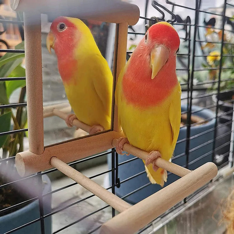 Cloud Ladder Bird Climbing Stand
