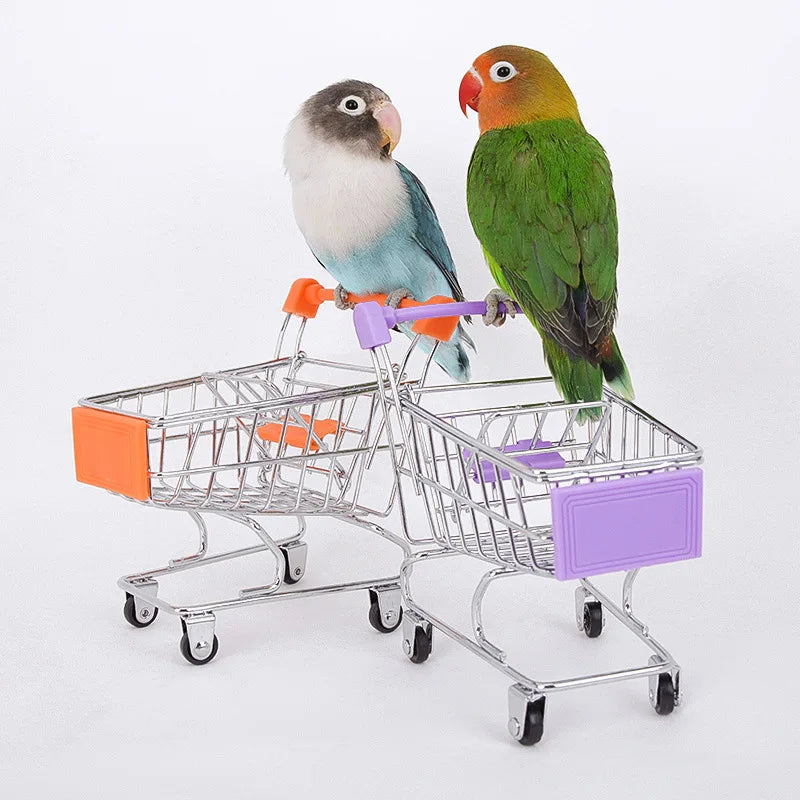 Bird Basketball & Shopping Cart Toy