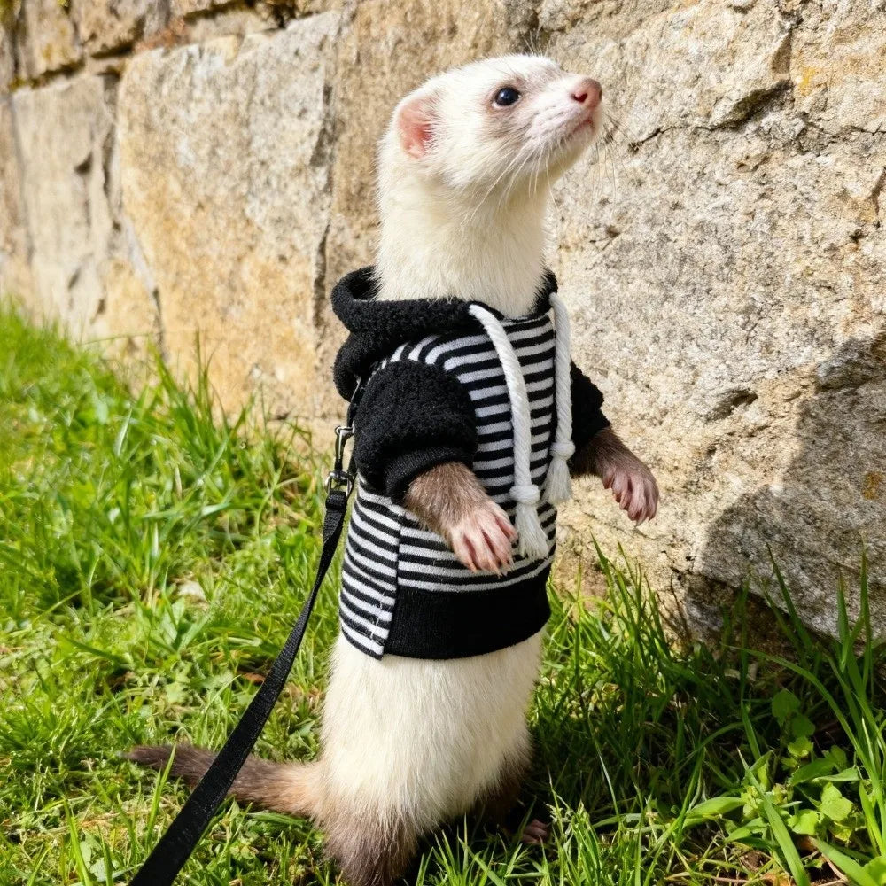 Cosy Fleece Pet Hoodie