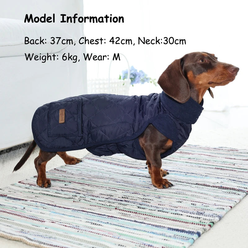 Quilted Dachshund Dog Coat