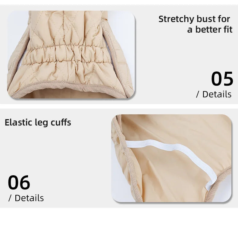 Quilted Dachshund Dog Coat