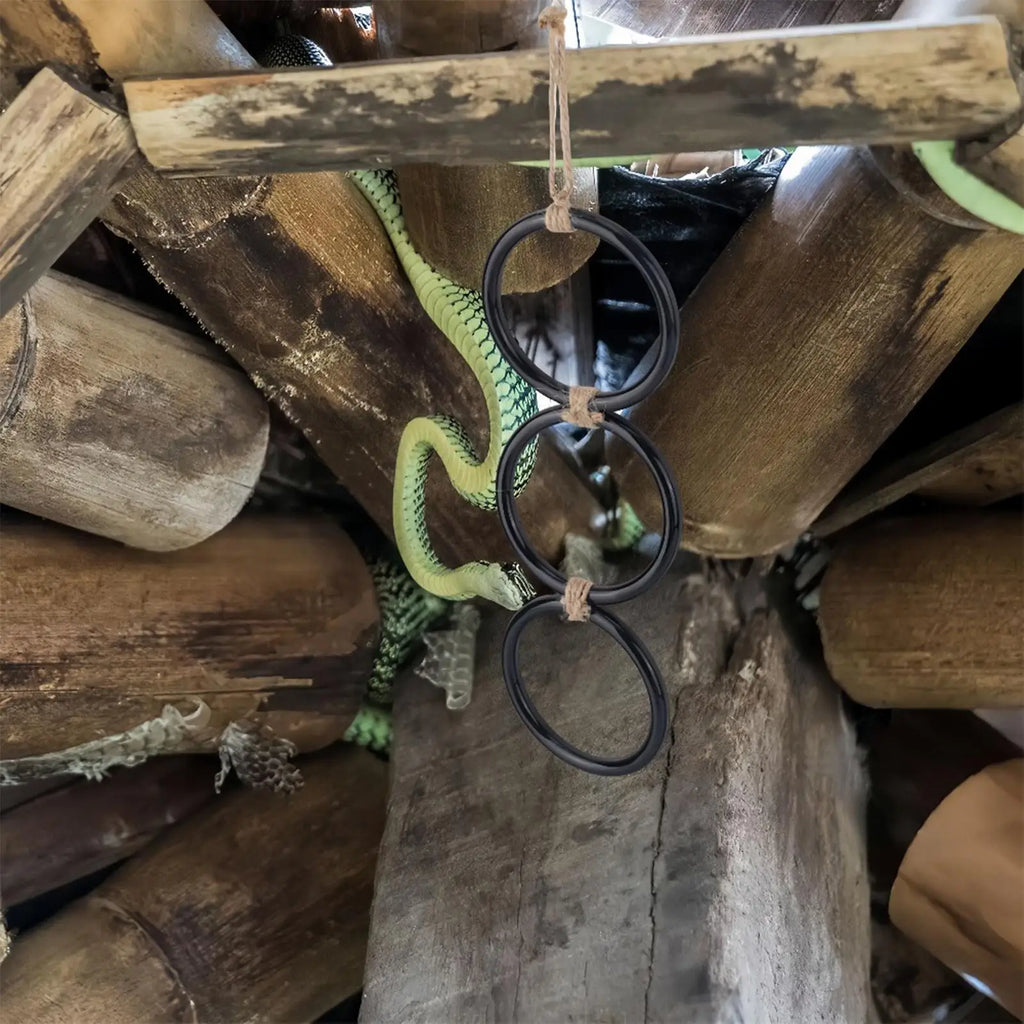 Snake Climbing Toy & Rings