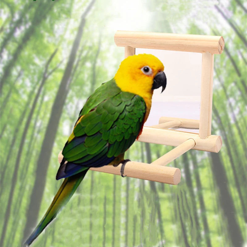 Cloud Ladder Bird Climbing Stand