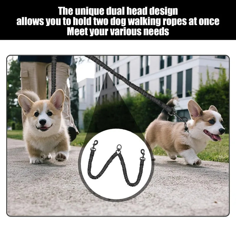 Shock-Absorbing Dog Leash