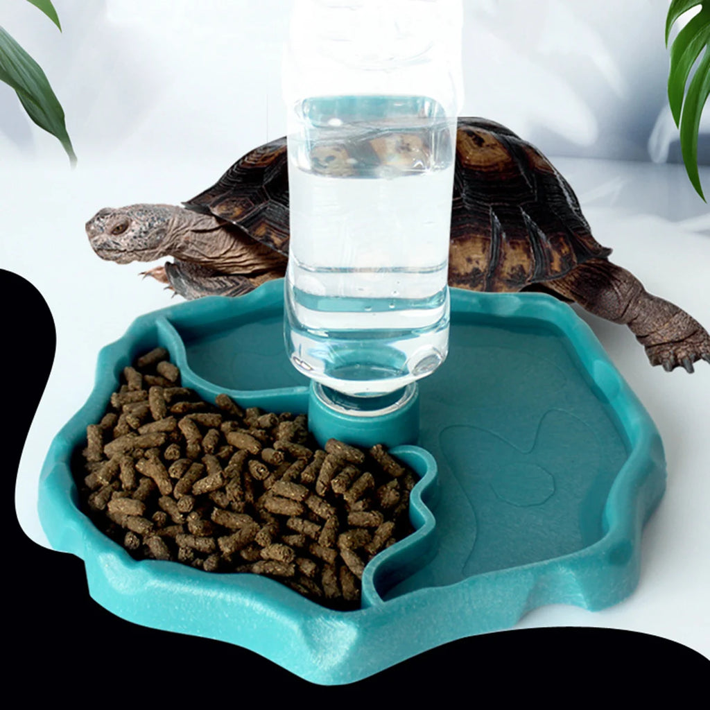 Removable Reptile Turtle Dish