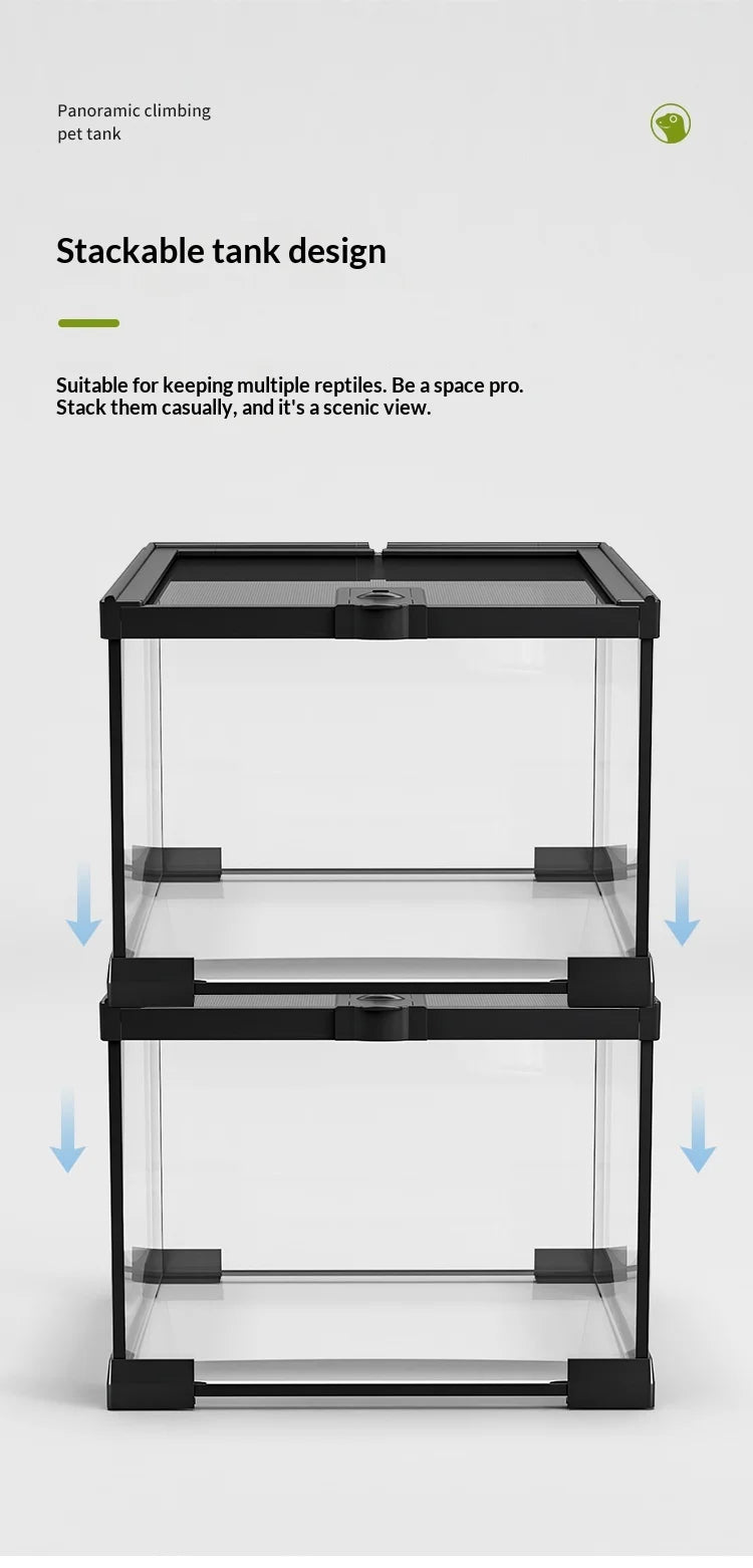 Glass Reptile Display Tank