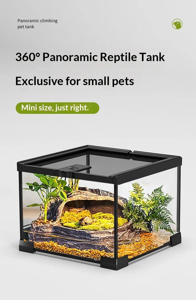 Glass Reptile Display Tank