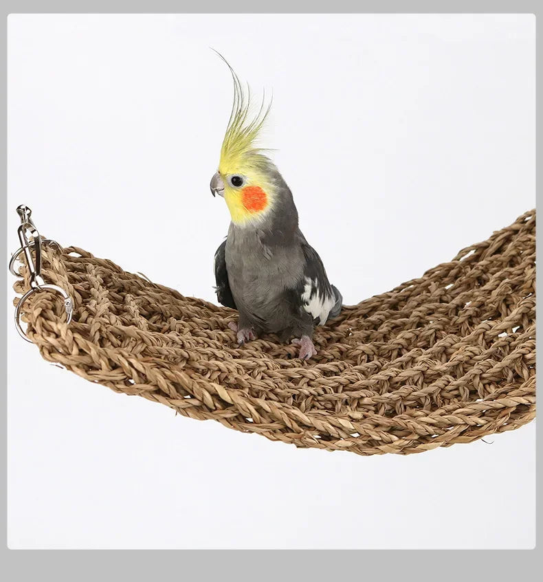 Reptile Hammock Vivarium Decor