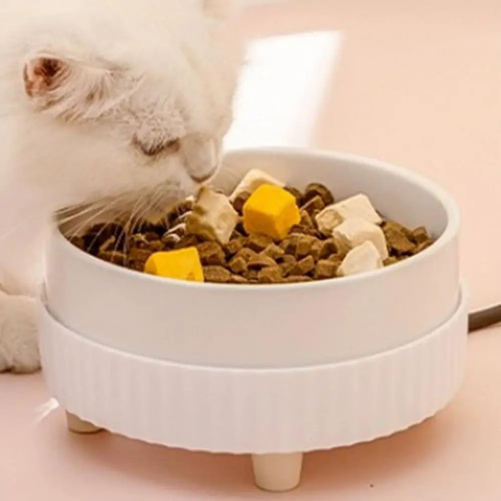 Heated USB Pet Water Bowl