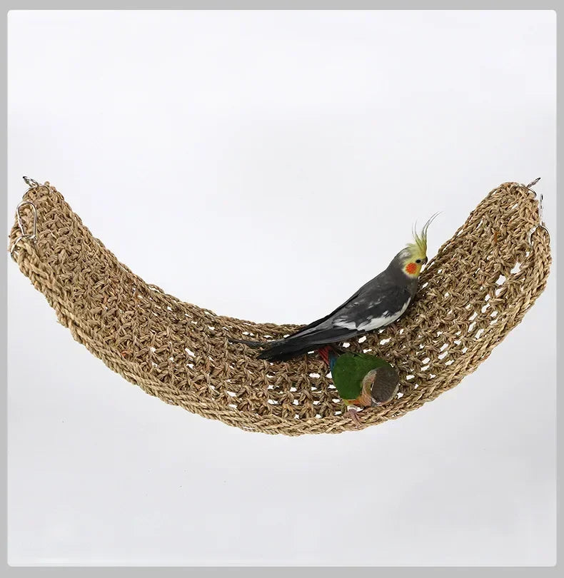Reptile Hammock Vivarium Decor