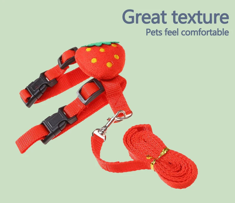 Small Animal Harness & Leash