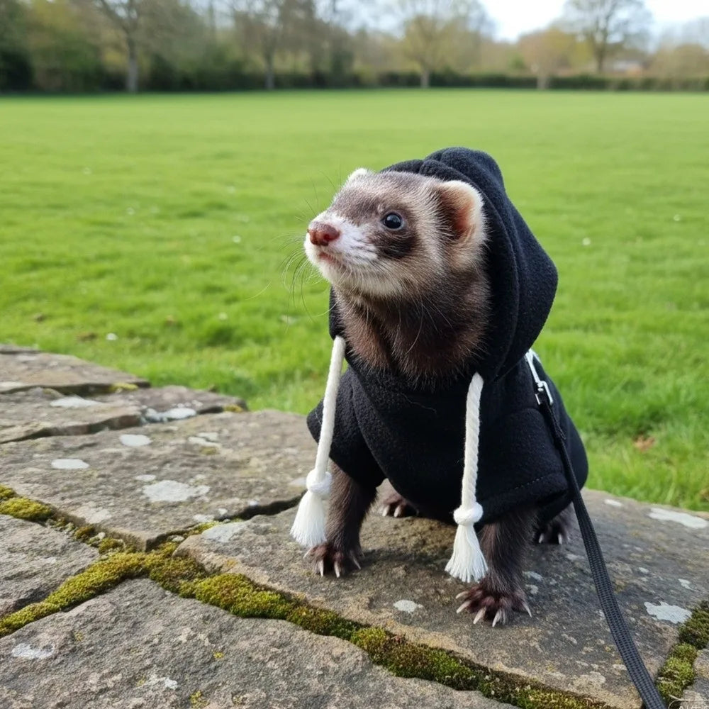 Cosy Fleece Pet Hoodie
