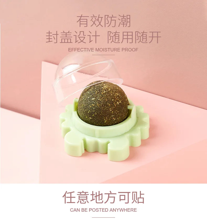 Catnip Energy Ball Toy